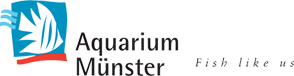aquarium_Mnster_Pahlsmeier_GmbH.png